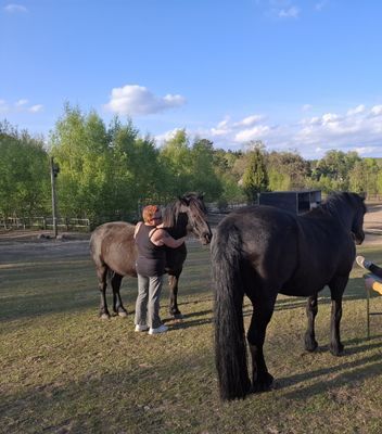 Mysig stuga i naturidyll - Bild 8