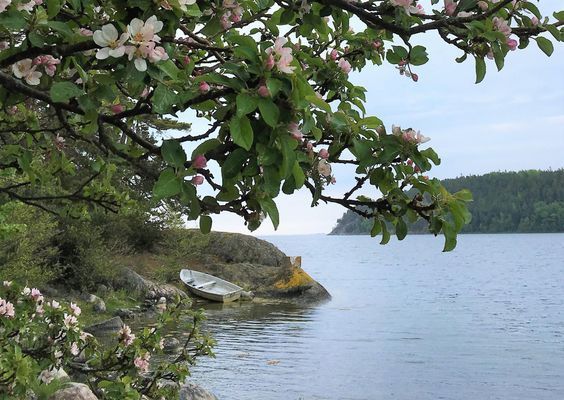 Havsnära hus med alla bekvämligheter - Bild 26