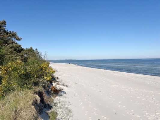 Hus precis vi standen med havsutsikt - Bild 8
