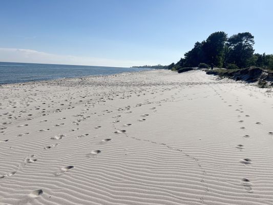 Hus precis vi standen med havsutsikt - Bild 27