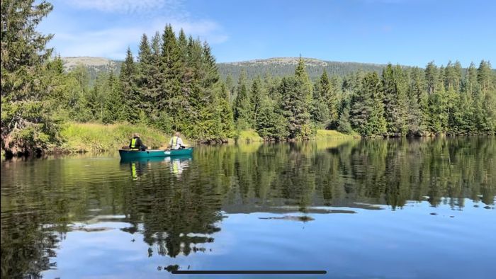 Boende mitt i Backen i Stöten, sommarveckor lediga - Bild 17