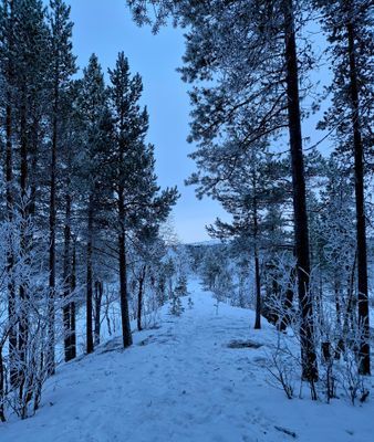 Harmony lodge - Bild 7