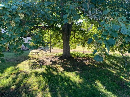 Kalkstenshus på Sudret, Vamlingbo, gotland - Bild 29