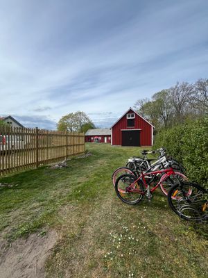 Charmigt sommarboende mitt i Böda, Norra Öland - Bild 11