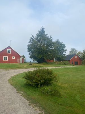 Mysigt hus i avskilt läge med utsikt över sjö. - Bild 9