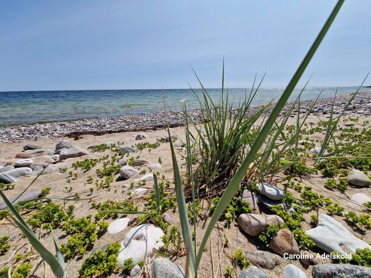 Välkomna att hyra vårt hus i Ljugarn i sommar 🌞 - Bild 48