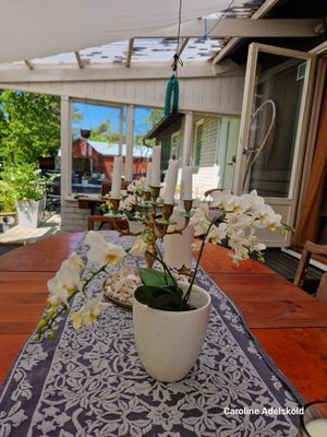 Välkomna att hyra vårt hus i Ljugarn i sommar 🌞 - Bild 15