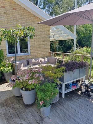 Stort djur- och familjevänligt hus nära bad. - Bild 7