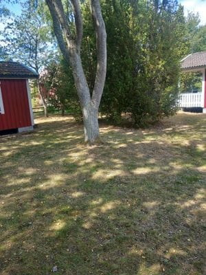 Havsnära Stuga på Hasslö i Blekinge skärgård - Bild 22