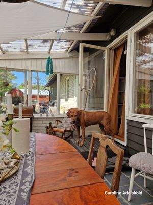 Välkomna att hyra vårt hus i Ljugarn i sommar 🌞 - Bild 17