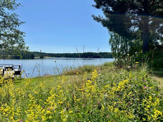 Mysig sjöstuga vid Långsvan - Bild 12
