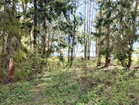 Litet och enkelt torp med utsikt över Granfjärden - Bild 11