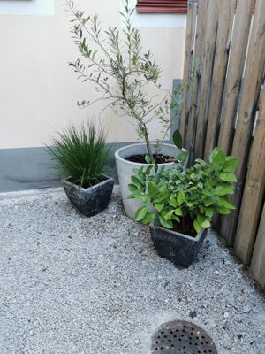 Vindsvåning mitt i Visby Innerstad - Bild 10