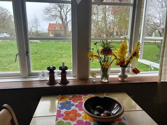 Sommarhus med stor grön tomt, Öland - Bild 7