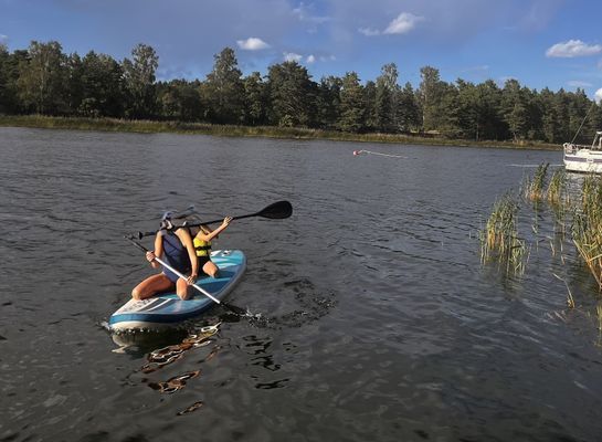 Mysigt fritidshus med egen brygga - Bild 6