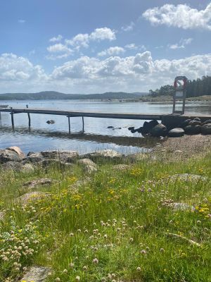 Mysigt hus med promenadavstånd till havet - Bild 21