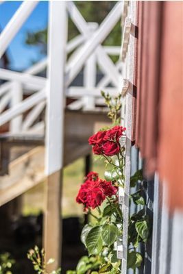 Vackert boende vid havet i Hudiksvalls skärgård - Bild 23