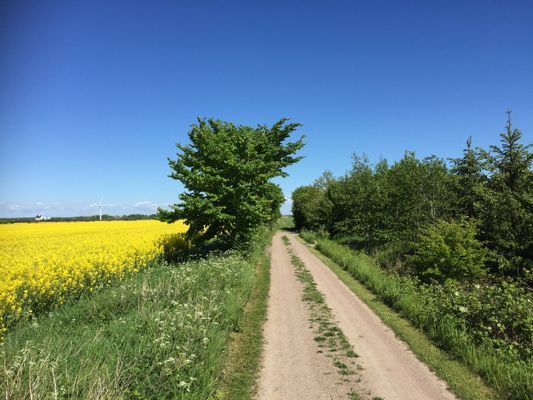 Soligt boende i Kullabygden nära strand och natur - Bild 15