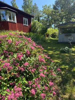 Sommarstuga nära badbrygga Vaxholm Rindö Stockholm - Bild 37