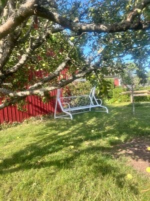 Stuga med pool i Köpingsvik - Bild 30