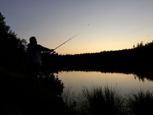 Charmigt hus med sjötomt i naturskön omgivning - Bild 11