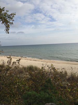 Sommarstuga vid porten av Österlen - Bild 27