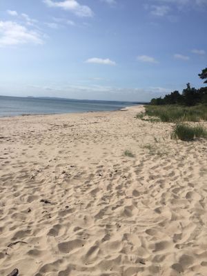 Sommarstuga vid porten av Österlen - Bild 25