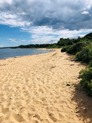 Bild 3 på Villa med pool på Österlen