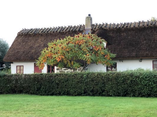 Villa med pool på Österlen - Bild 15