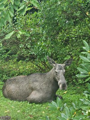 Bäcken, ett båtsmanstorp nära Trosa - Bild 28