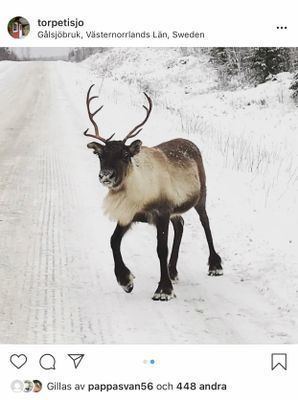 Bekväma torpet i Sjö, fint hus med enskilt läge - Bild 22
