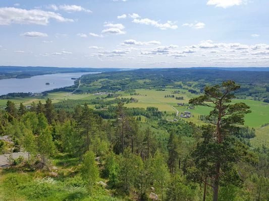 Adeles hus (en "stor stuga") - Bild 38