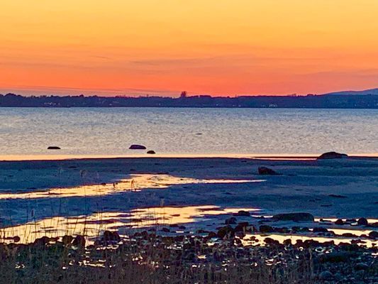 Bild 3 på Mysig och fräsch stuga med insynsskyddad tomt