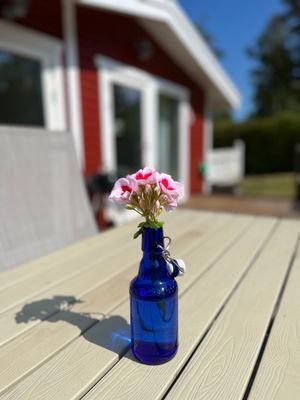 Mysig och fräsch stuga med insynsskyddad tomt - Bild 6