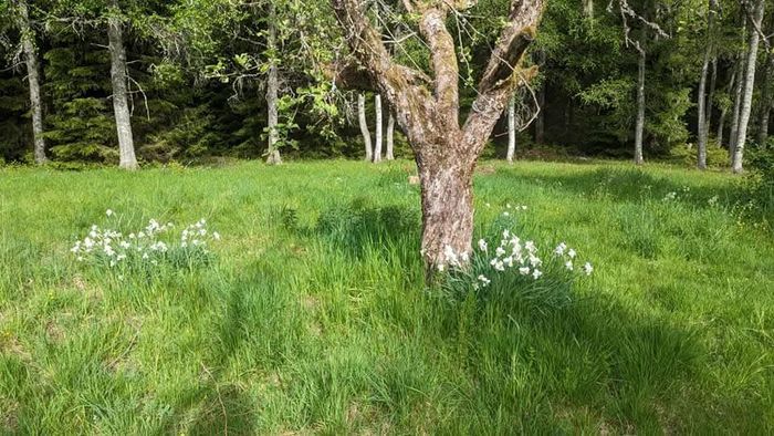 Hyr denna stuga i  på 75 m². 2-4 sängplatser. 4 000 - 6 000 kr per vecka. Se bilder och tillgänglighet här.