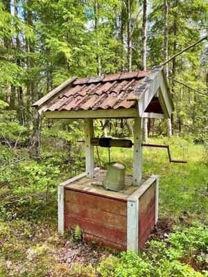 Avskilt torp i skogen – off grid, fiske & stillhet