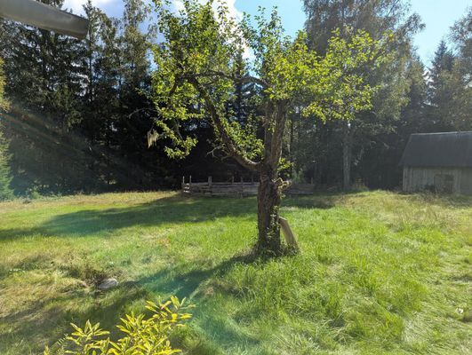 Avskilt torp i skogen – off grid, fiske & stillhet - Bild 6