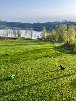 Mysig stuga i Ankarvattnet, Vildmarksvägen - Bild 13