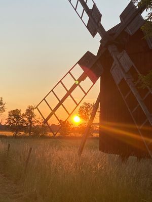 Semesterstuga på fantastiska Öland! - Bild 25