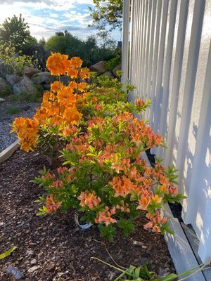 Stuga/attefallare för många med 2 badrum! - Bild 6