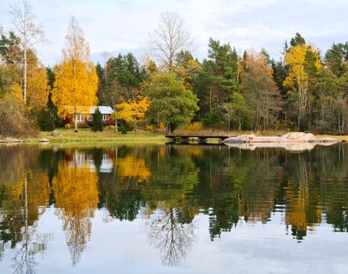 Gräsö - stuga på vacker havstomt