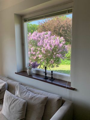 Fristående hus centralt i Höganäs nära vattnet - Bild 7