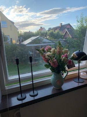 utsikt, från vardagsrummet mot trädgård och växthus