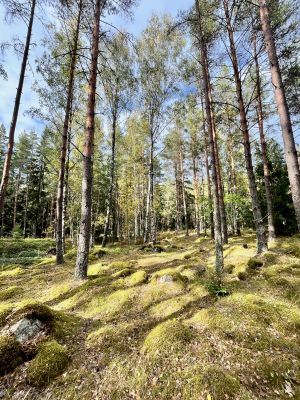 Sommarhus med pool & sjönära läge Upplands Bro - Bild 27