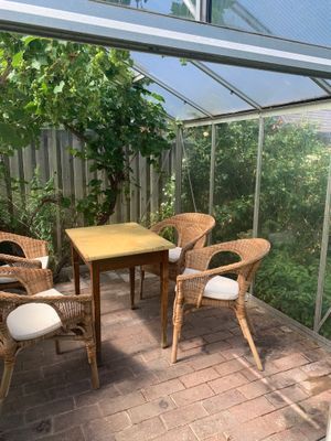 Växthus med sittplats och vinrankor i taket