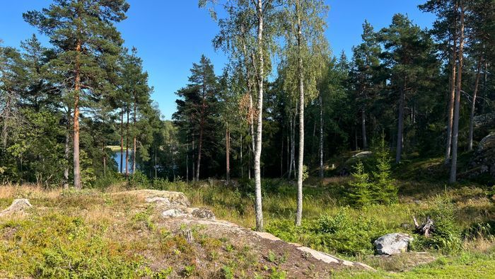 Skärgårdsidyll nära Stockholm – natur och hav! - Bild 36