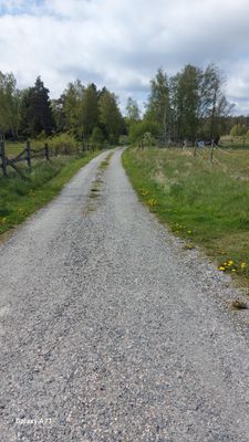 Paradis på Singö i Roslagen - Bild 14