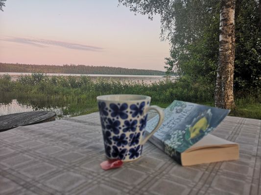 Mysig stuga med sjöutsikt, inkl. båt och brygga