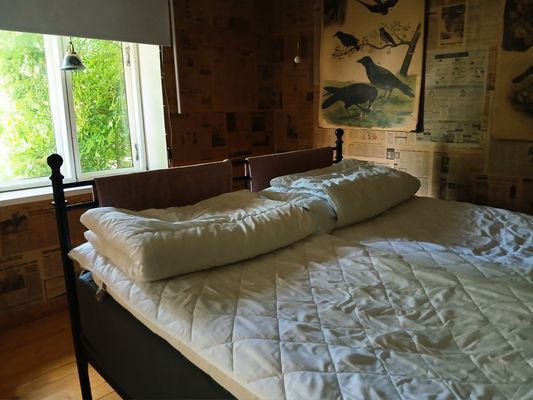 Österlen, liten stuga med trädgård - Bild 18