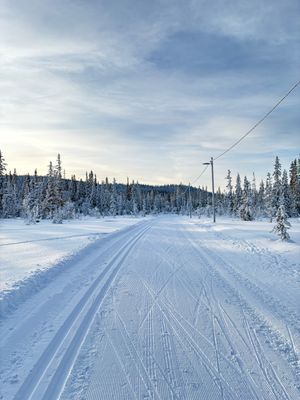 Takvåning vedeldad kamin bastu ski in ski out - Bild 37